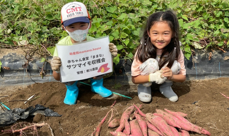 サツマイモ収穫と子供